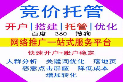 百度竞价广告投放全解析：成功案例揭秘